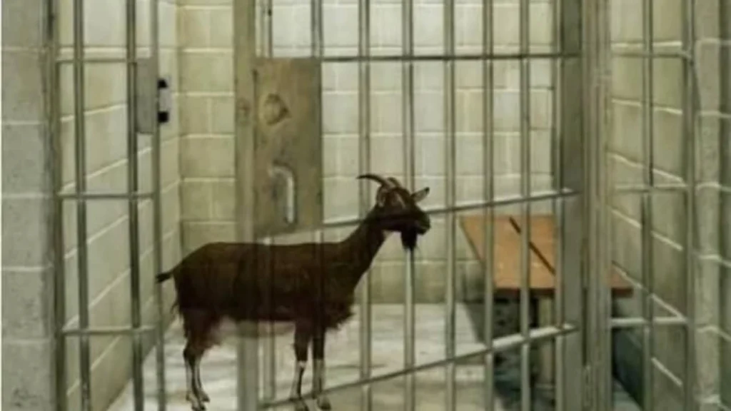 Nigeria goat armed robbery